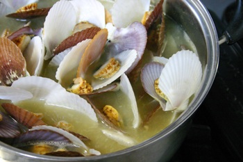 ほたての稚貝とベビーホタテ