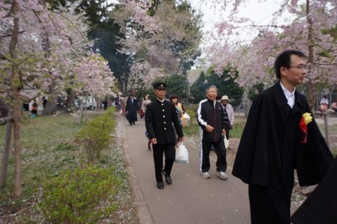 桜吹雪舞う芦野公園で昭和のお花見を