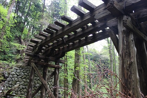 津軽の森に突如現れる鉄道跡 ~奥津軽トレイル~