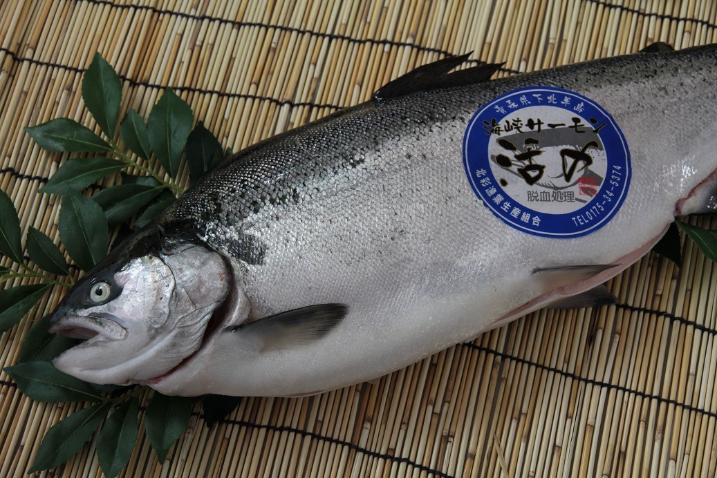 あおもりの逸品お取り寄せ「活〆（いけじめ）海峡サーモン」