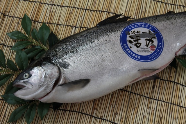 あおもりの逸品お取り寄せ「活〆（いけじめ）海峡サーモン」