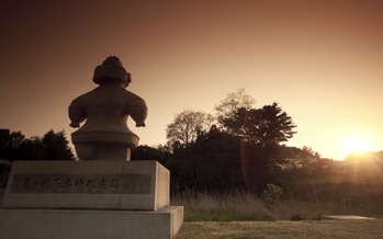 Feel the Roots 亀ヶ岡浪漫