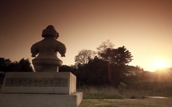 Feel the Roots 亀ヶ岡浪漫
