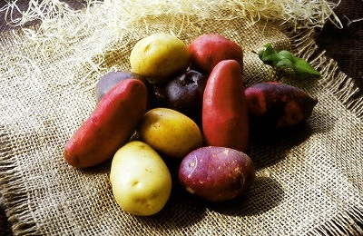 いろいろなイモ！