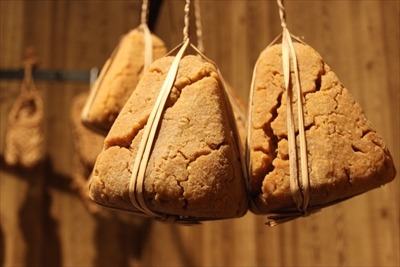 郷土館特別展「発酵食品パワー」は解説書もすばらしい!