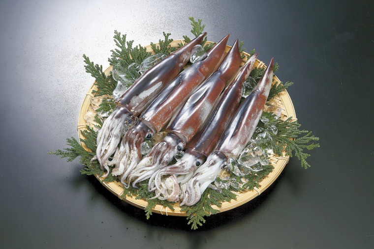 天高くスルメイカ肥ゆる秋!おいしい季節になりました。