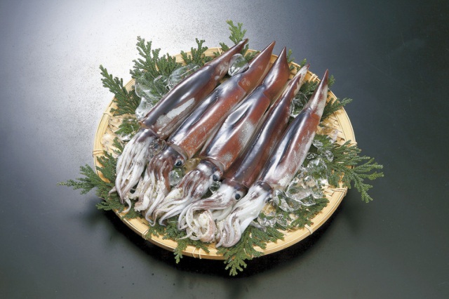 天高くスルメイカ肥ゆる秋！おいしい季節になりました。