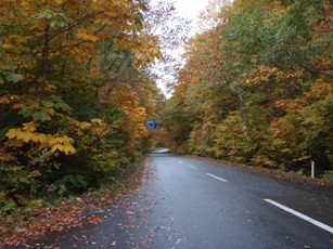 紅葉を求めて～その１ 八甲田・奥入瀬編～