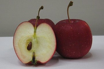 小さなりんごと夕日の思い出