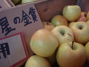 りんごのスーパー新品種「星の金貨」