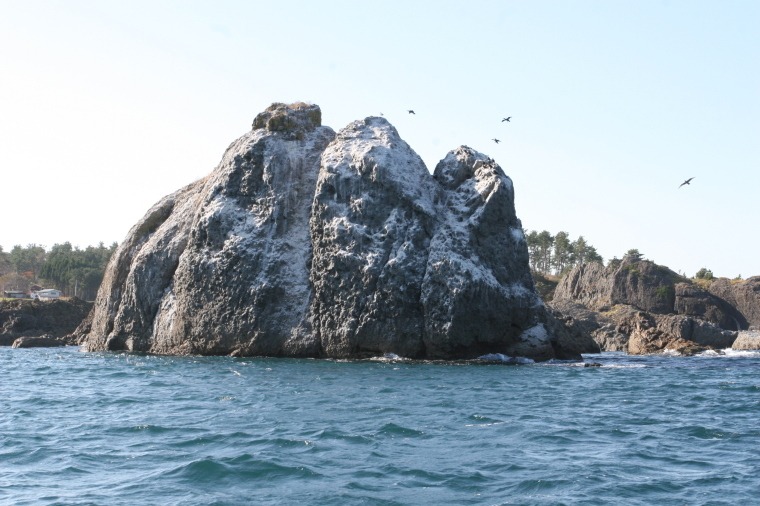 欲張り!! 種差海岸トレッキングと漁船と漁師鍋ツアー