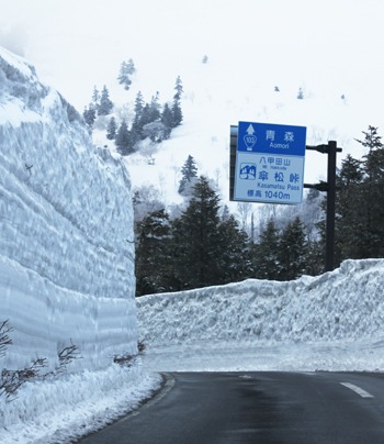 雪の回廊からはじめまして！