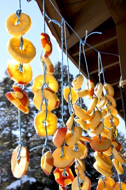 干す！干す！りんごも干す！南郷の保存食作り