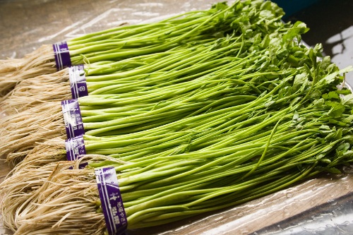 津軽の冬が育む野菜たち