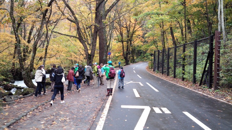 奥入瀬渓流エコロードフェスタに行って来ました