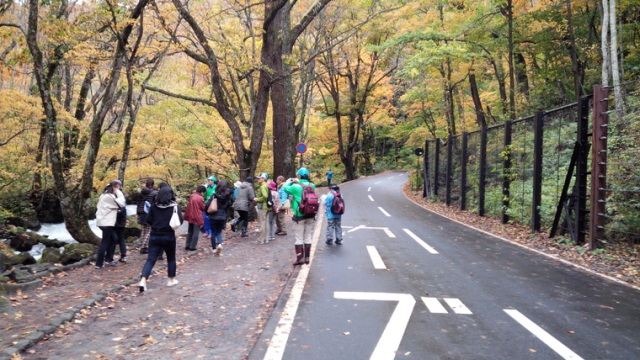 奥入瀬渓流エコロードフェスタに行って来ました