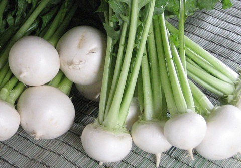 日本一おいしい？野辺地町の「葉付きこかぶ」