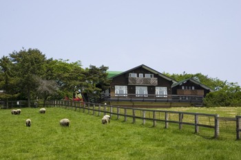 カワヨグリーンロッジでランチタイム