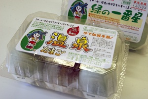 あの「あすなろ卵」の温泉たまごが誕生！