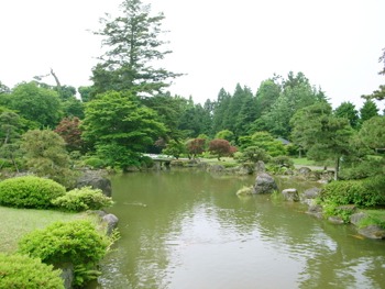 藤田記念庭園、花菖蒲が見頃です♪