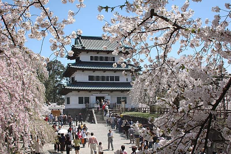 お花見大好き！青森県民　～弘前さくらまつり～