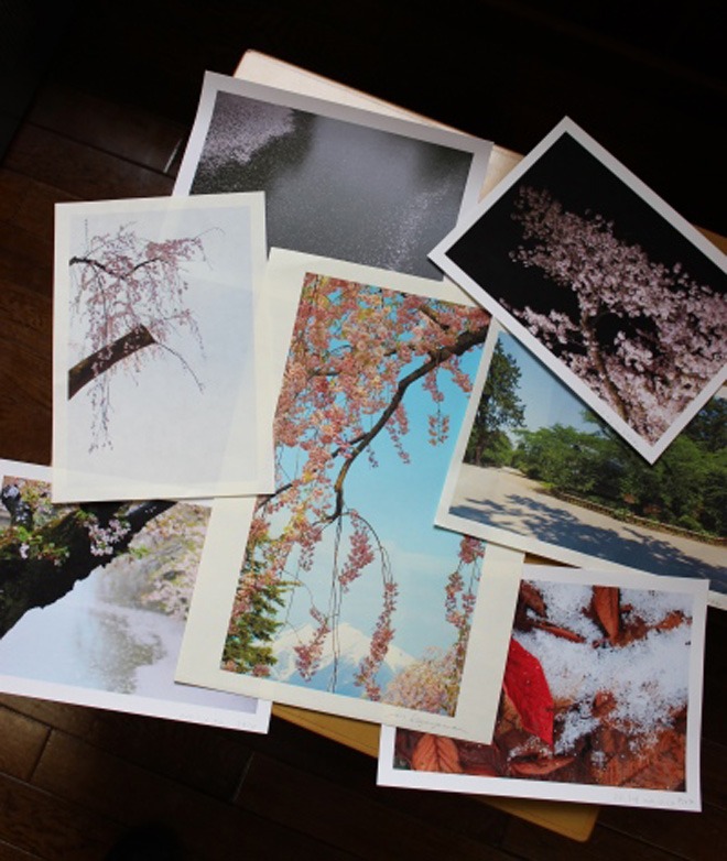 弘前の桜に魅せられた写真家「景山正夫写真展」