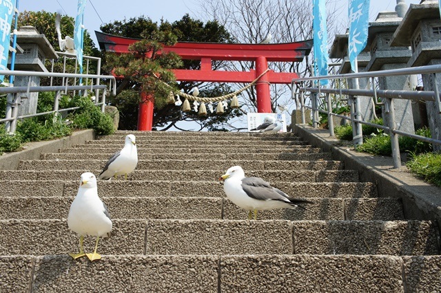 春の種差海岸トレッキング