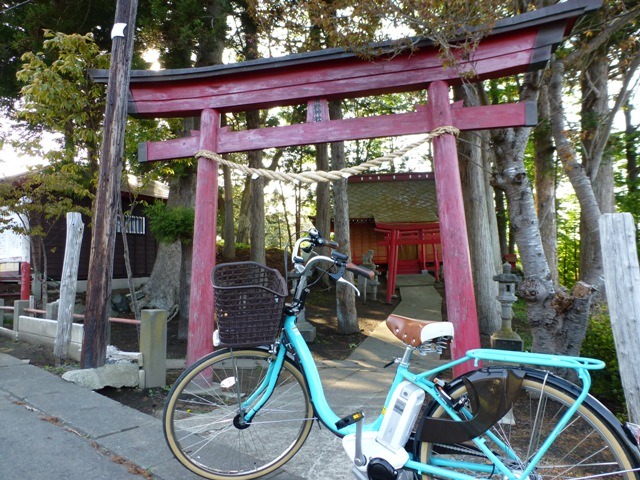 春の種差海岸サイクリング