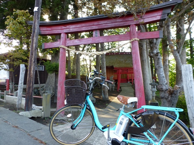 春の種差海岸サイクリング