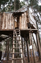 スローベース　～『海猫ツリーハウス』の舞台～