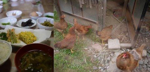 旅で味わう「ふるさと」の朝食　～岡山の家・農家の朝ごはん