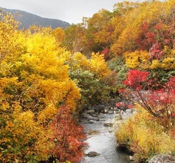 紅葉前線下山（南下）中