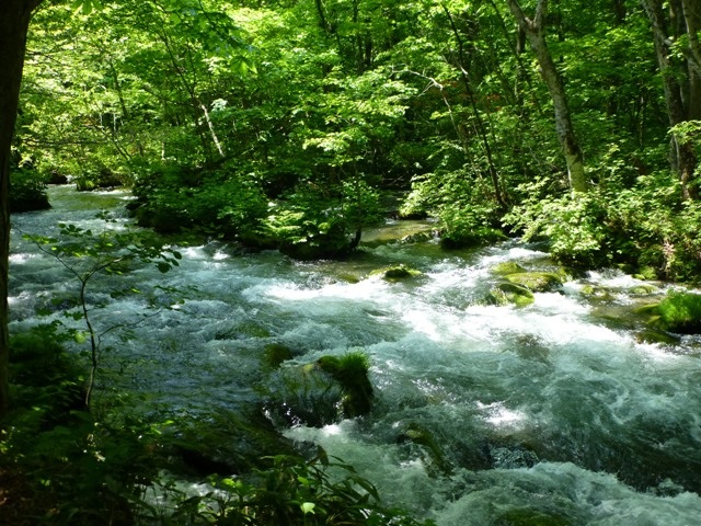 奥入瀬渓流「学びの旅」のススメ