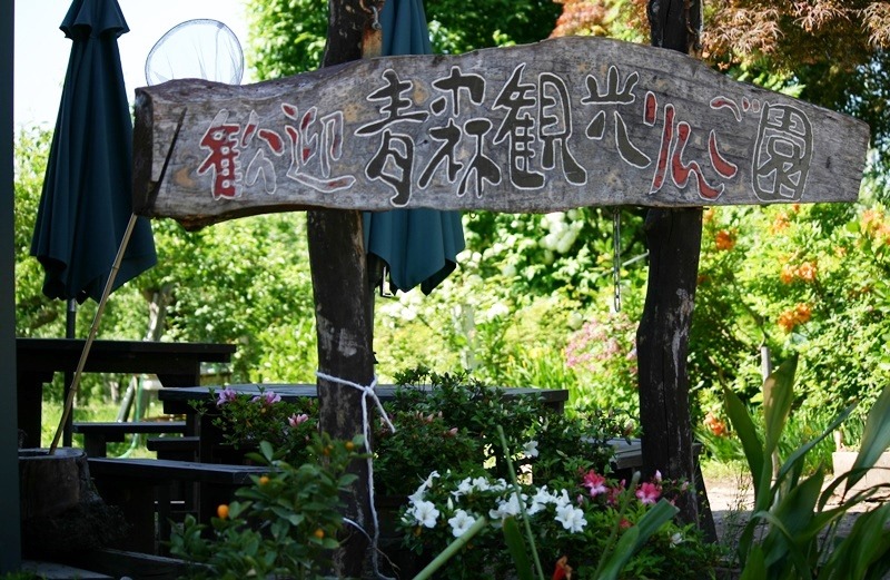 りんごとカブトムシの収穫体験