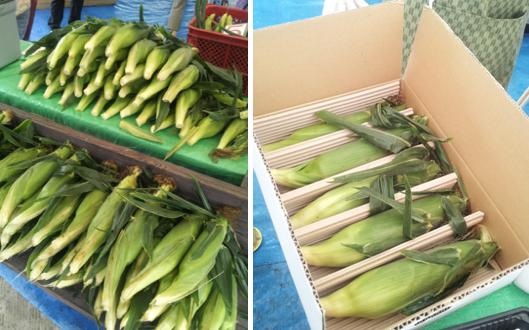 今年もキミに会いたくて。