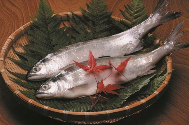 青森おさかな自慢「十和田湖ひめます」