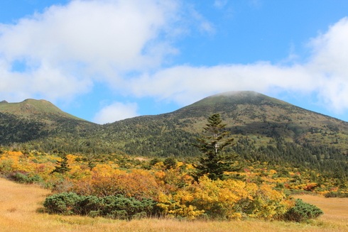 秋紅葉の八甲田山