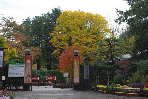 まだ間に合うぞ～