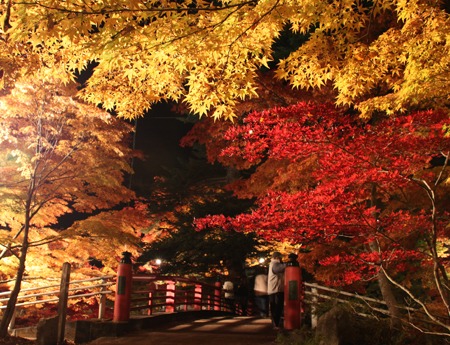 紅葉が里におりてきました