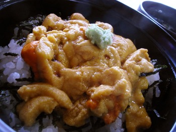 民宿はまゆうの生うに丼