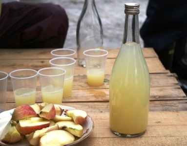 まるで食べるりんごジュース！岩木山雪蔵りんご