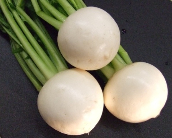 野辺地葉つきこかぶ