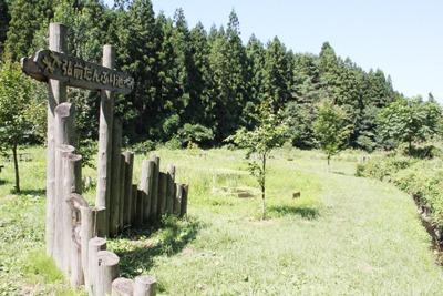 だんぶり池で生き物探し