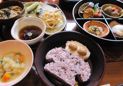 シャコちゃんがお弁当に!?