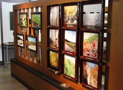 米ちゃんの写真展「こころの森･･･」