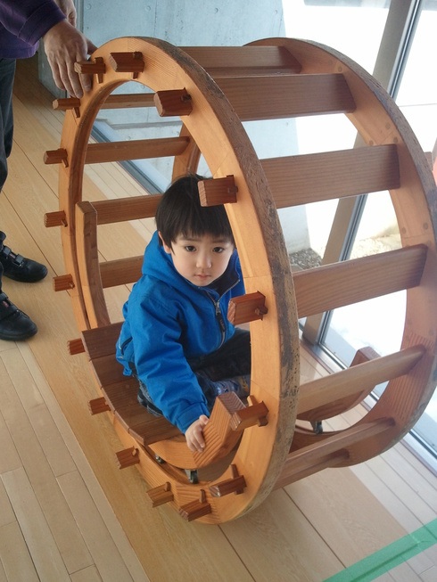 テラヤマ＆ムシムシコロコロ