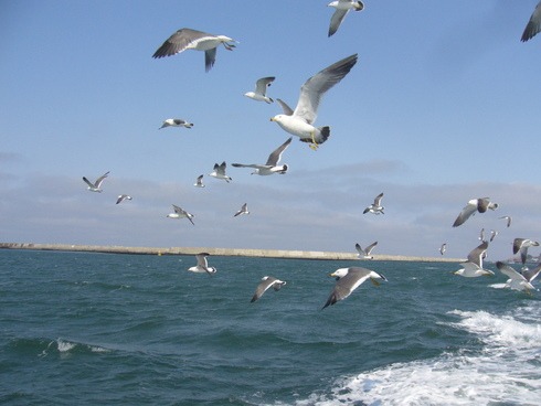 青森にもようやく春が来ました！