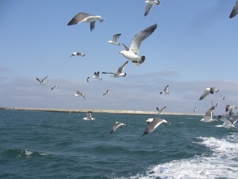 青森にもようやく春が来ました！