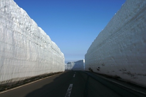 「雪の回廊」に登っちゃいました！