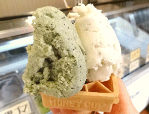 青森の春は桜だけじゃないのです